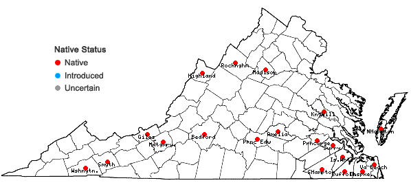 Locations ofRiccardia multifida (L.) Gray in Virginia