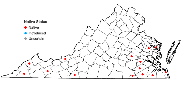 Locations ofRiccardia palmata (Hedw.) Carruth. in Virginia