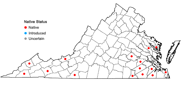 Locations ofRiccardia palmata (Hedw.) Carruth. in Virginia