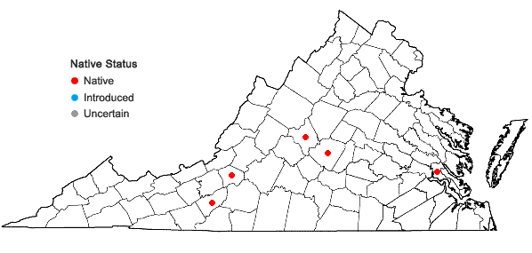 Locations ofRiccia beyrichiana Hampe ex Lehm. in Virginia