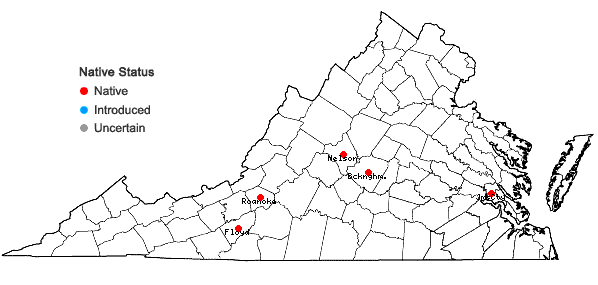 Locations ofRiccia beyrichiana Hampe ex Lehm. in Virginia