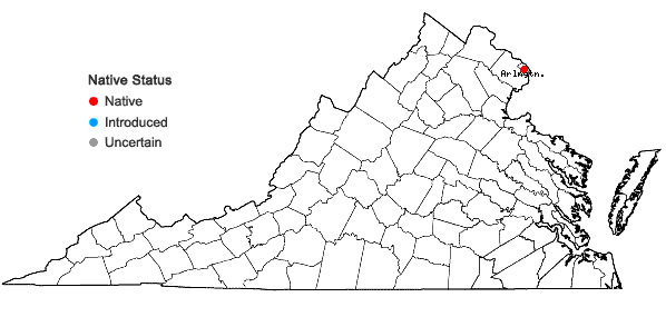 Locations ofRiccia hirta (Austin) Underw. in Virginia