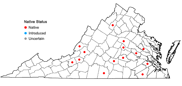 Locations ofRiccia huebeneriana Lindenb. subsp. sullivantii (Austin) R.M. Schust. in Virginia