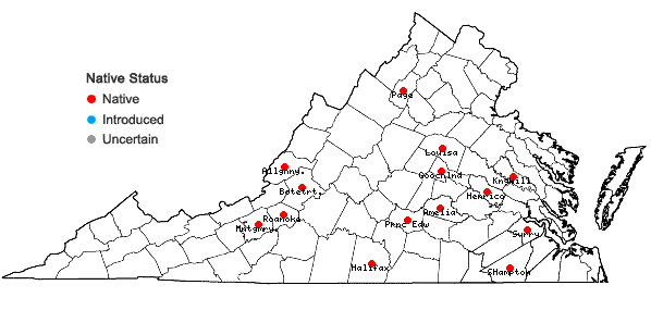 Locations ofRiccia huebeneriana Lindenb. subsp. sullivantii (Austin) R.M. Schust. in Virginia