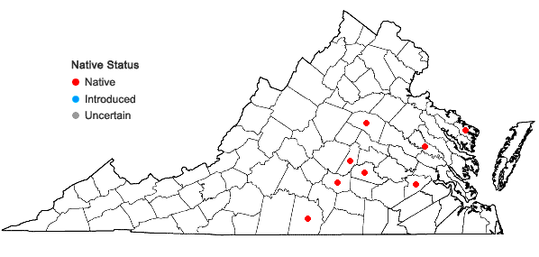 Locations ofRiccia membranacea Gottsche, Lindenb. & Nees in Virginia
