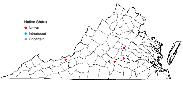 Locations ofRiccia sorocarpa Bischoff in Virginia