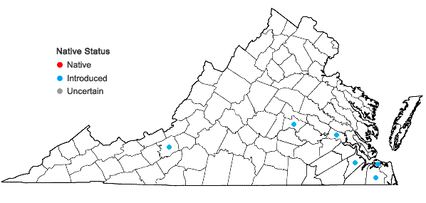 Locations ofRicinus communis L. in Virginia