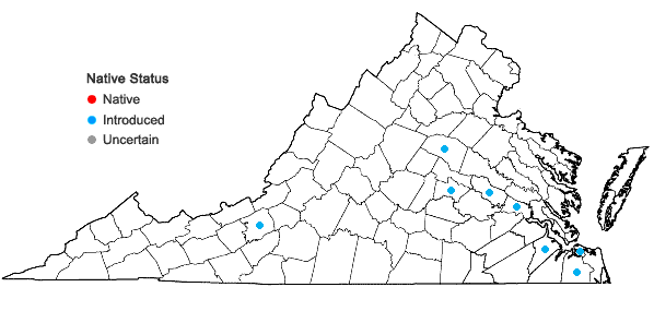 Locations ofRicinus communis L. in Virginia