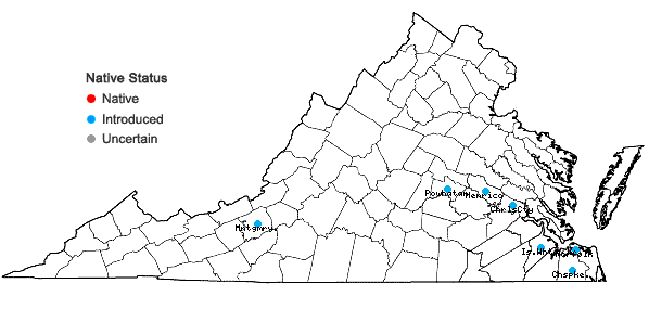 Locations ofRicinus communis L. in Virginia