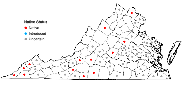 Locations ofRobinia hispida L. in Virginia