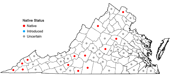 Locations ofRobinia hispida L. in Virginia