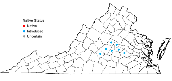 Locations ofRorippa indica (L.) Hiern. in Virginia