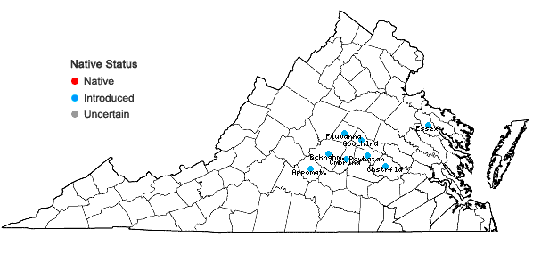 Locations ofRorippa indica (L.) Hiern. in Virginia
