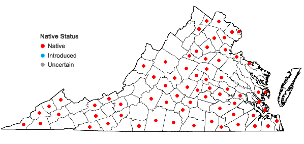 Locations ofRorippa palustris (L.) Besser ssp. fernaldiana (Butters & Abbe) Jonsell in Virginia