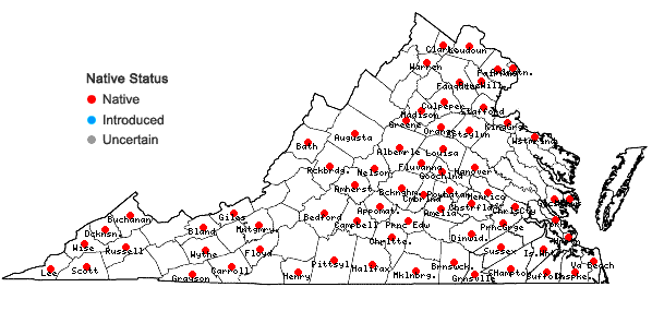 Locations ofRorippa palustris  (L.) Besser ssp. palustris in Virginia