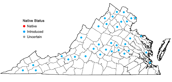 Locations ofRorippa sylvestris (Linnaeus) Besser in Virginia