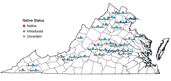Locations ofRorippa sylvestris (Linnaeus) Besser in Virginia