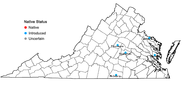 Locations ofRosa bracteata J.C. Wendl. in Virginia