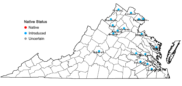 Locations ofRosa canina L. in Virginia