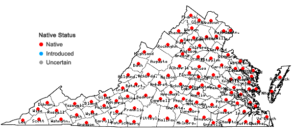 Locations ofRosa carolina L. ssp. carolina in Virginia