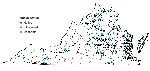 Locations ofRosa luciae Franchet & Rochebrune ex Crepin in Virginia