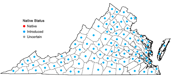 Locations ofRosa multiflora Thunb. ex Murr. in Virginia