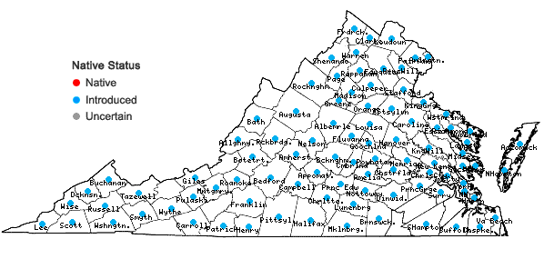 Locations ofRosa multiflora Thunb. ex Murr. in Virginia