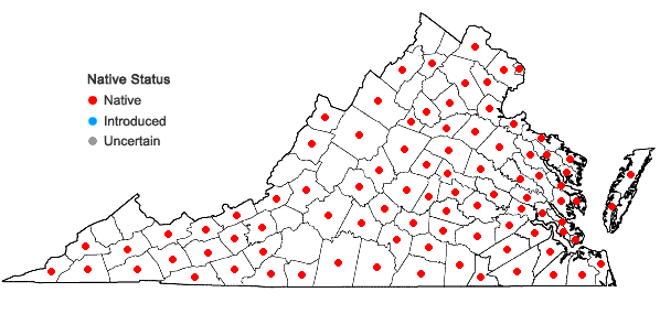 Locations ofRosa palustris Marsh. in Virginia