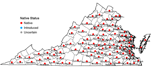 Locations ofRosa palustris Marsh. in Virginia