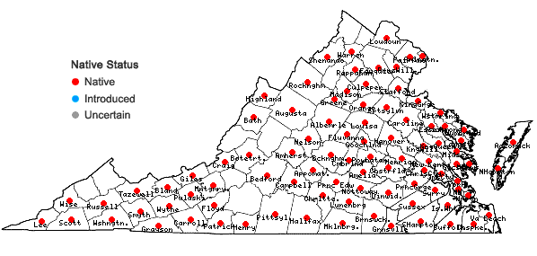 Locations ofRosa palustris Marsh. in Virginia