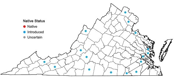 Locations ofRosa rubiginosa L. var. nemoralis (Leman) Thory in Virginia