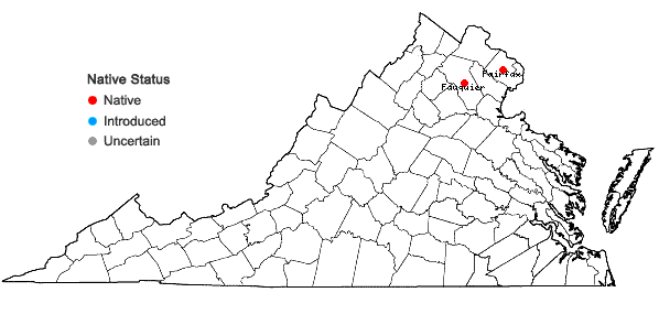 Locations ofRosa virginiana Miller in Virginia