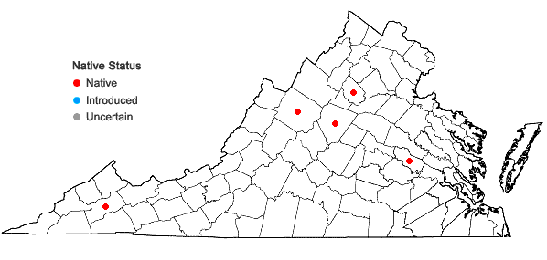 Locations ofRosulabryum moravicum (Podp.) Ochyra & Stebel in Virginia