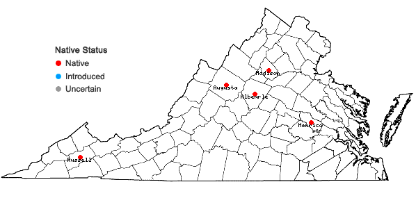 Locations ofRosulabryum moravicum (Podp.) Ochyra & Stebel in Virginia