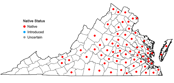 Locations ofRotala ramosior (L.) Koehne in Virginia