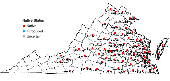 Locations ofRotala ramosior (L.) Koehne in Virginia