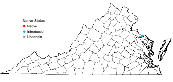 Locations ofRottboellia cochinchinensis (Lour.) Clayton in Virginia