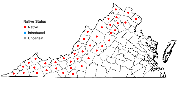 Locations ofRubacer odoratum (L.) Rydb. in Virginia