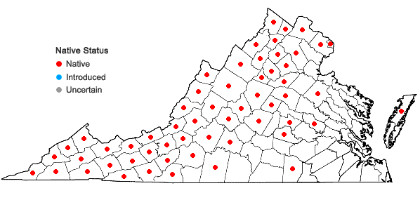Locations ofRubus allegheniensis Porter in Virginia