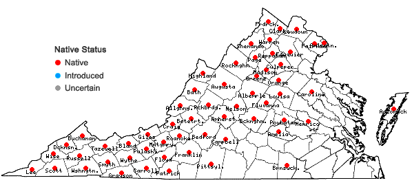 Locations ofRubus allegheniensis Porter in Virginia