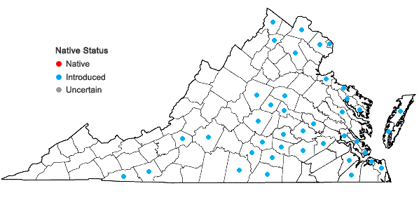 Locations ofRubus bifrons Vest in Virginia