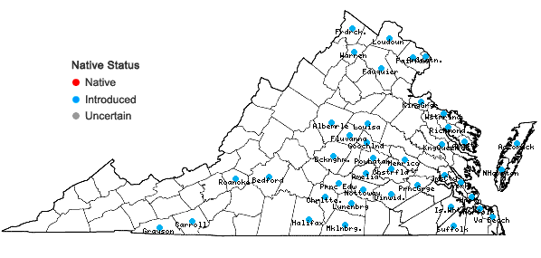 Locations ofRubus bifrons Vest in Virginia