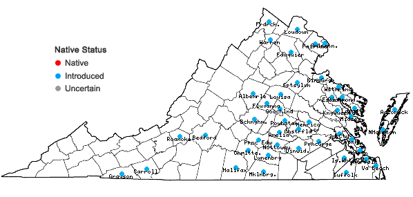 Locations ofRubus bifrons Vest in Virginia