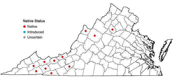 Locations ofRubus canadensis L. in Virginia