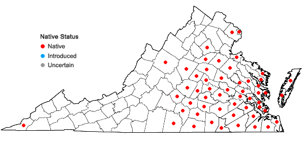 Locations ofRubus cuneifolius Pursh in Virginia