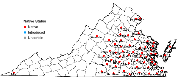 Locations ofRubus cuneifolius Pursh in Virginia