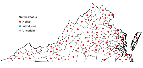 Locations ofRubus hispidus L. in Virginia