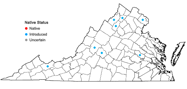 Locations ofRubus laciniatus Willd. in Virginia