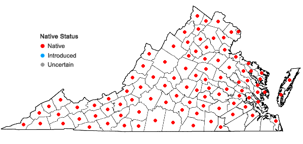 Locations ofRubus occidentalis L. in Virginia
