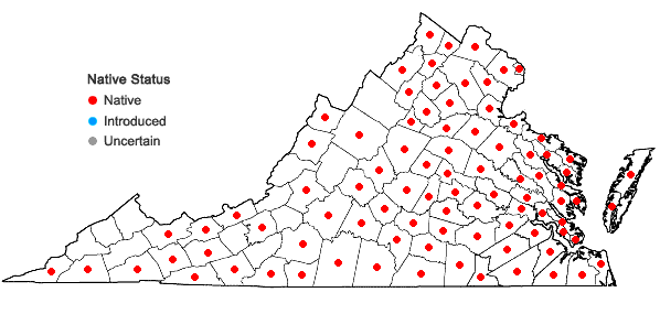 Locations ofRubus pensilvanicus Poir. in Virginia